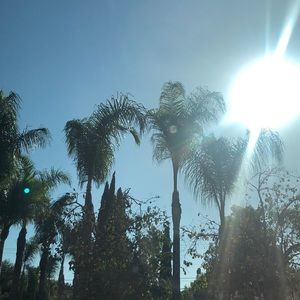 Meet your Posher, Jazmin